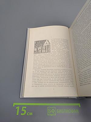 Эта сильная слабая женщина