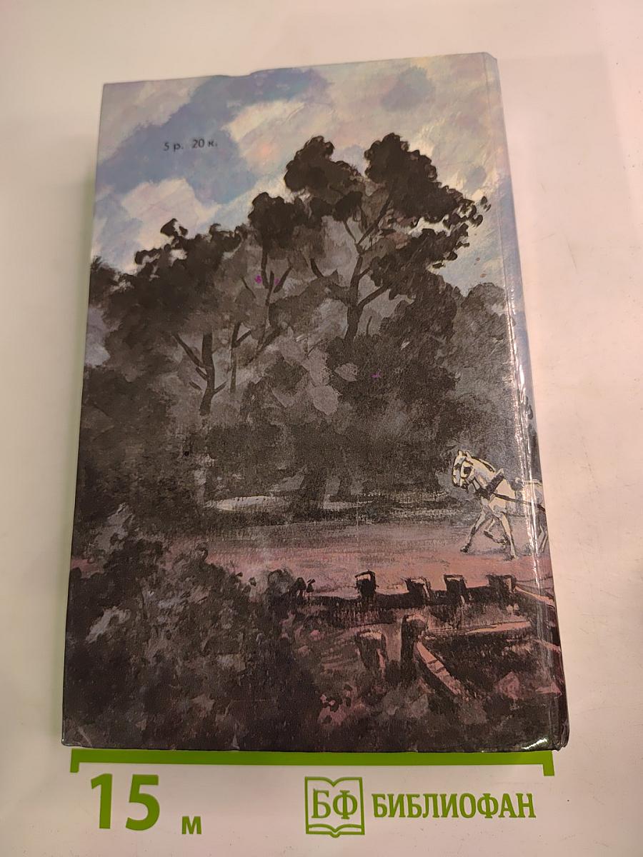 Желтая маска; Женщина в белом