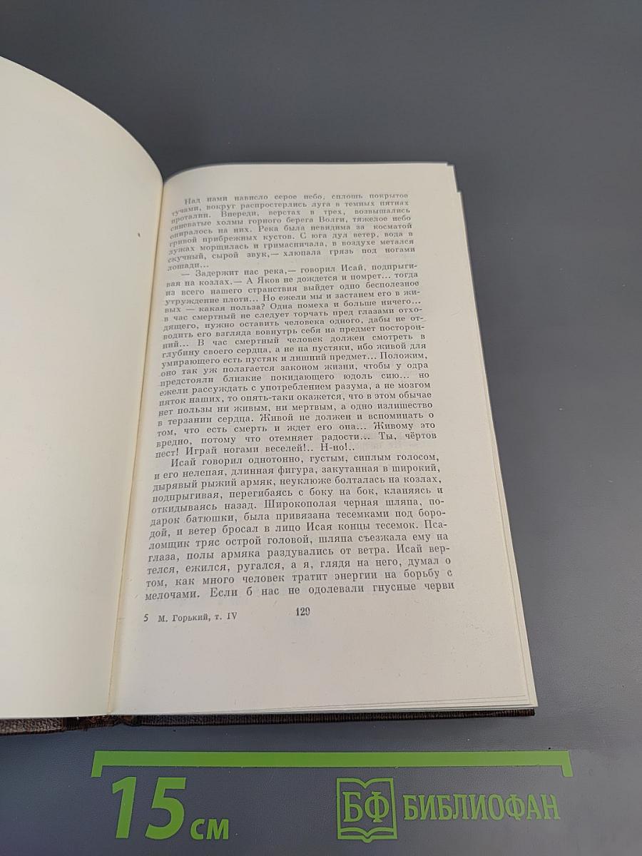 Собрание сочинений в десяти томах. Том четвертый: Фома Гордеев. Рассказы, Очерки, Наброски, Стихи (1897-1899)