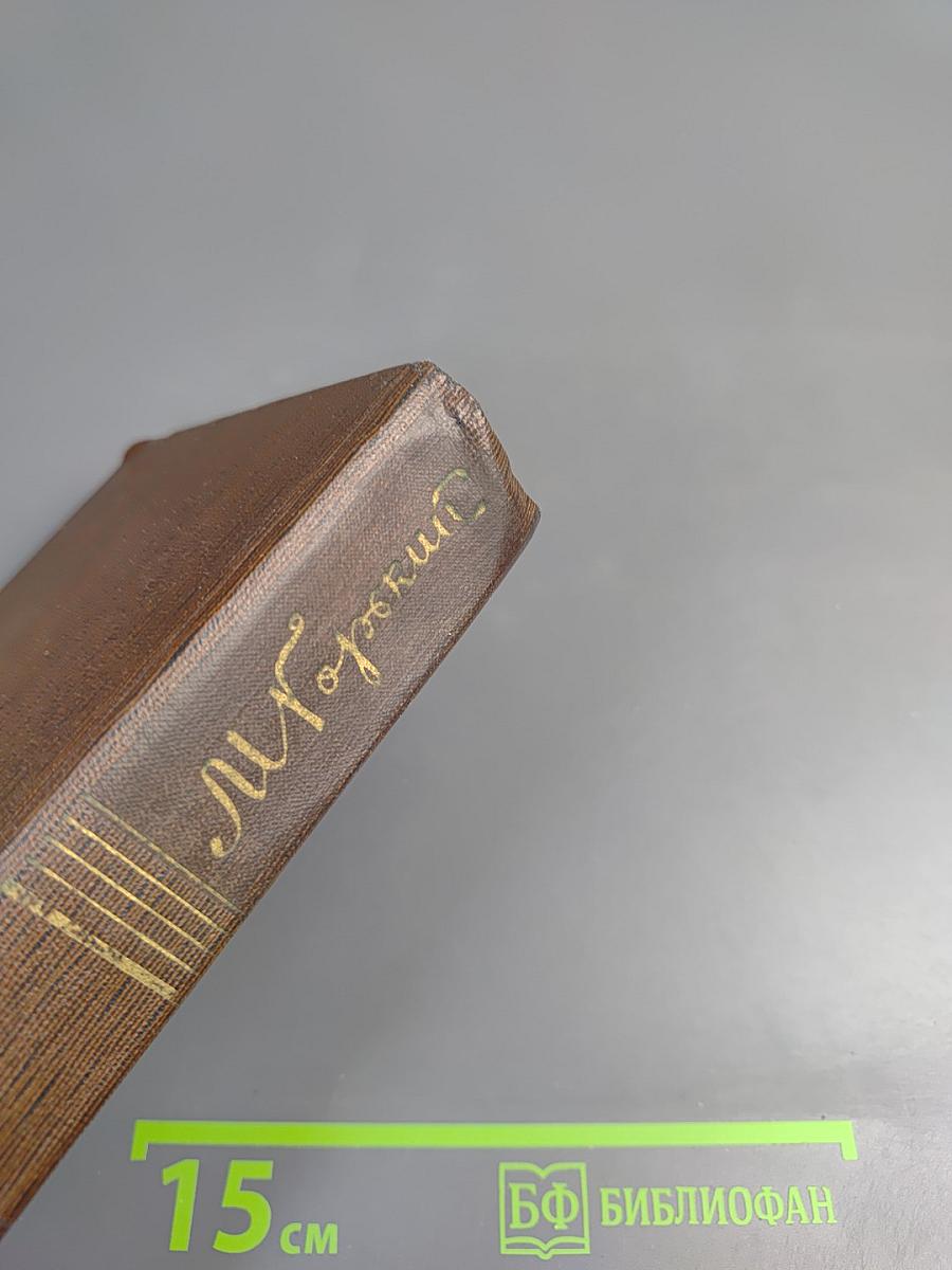 Собрание сочинений в десяти томах. Том четвертый: Фома Гордеев. Рассказы, Очерки, Наброски, Стихи (1897-1899)