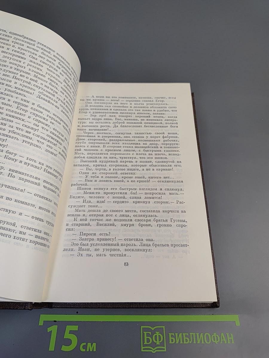 Собрание сочинений в десяти томах. Том восьмой: Мать. Рассказы. Очерк
