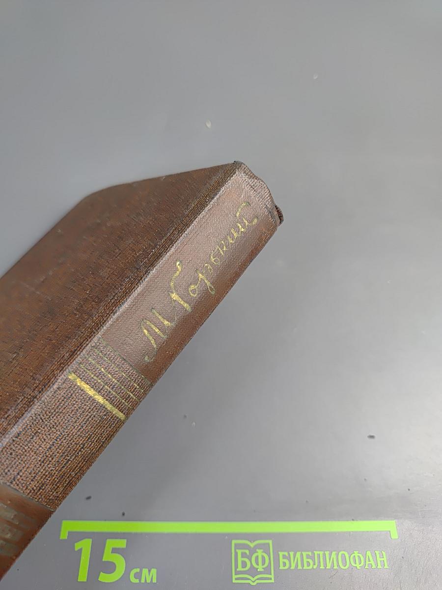 Собрание сочинений в десяти томах. Том восьмой: Мать. Рассказы. Очерк