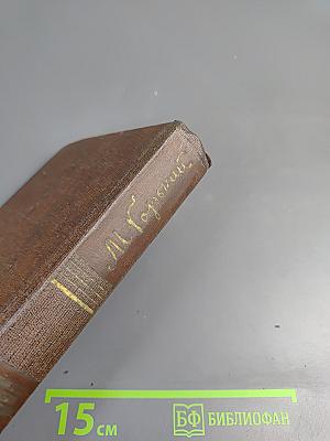 Собрание сочинений в десяти томах. Том восьмой: Мать. Рассказы. Очерк