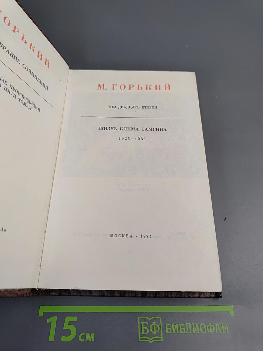 Жизнь Клима Самгина. Том 22