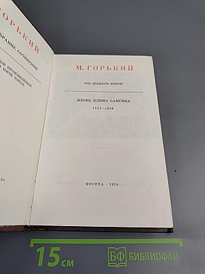 Жизнь Клима Самгина. Том 22