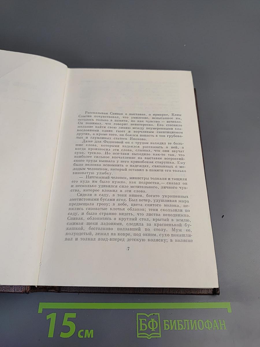 Жизнь Клима Самгина. Том 22