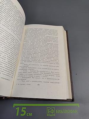 Жизнь Клима Самгина. Том 22