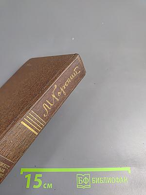 Жизнь Клима Самгина. Том двадцать третий