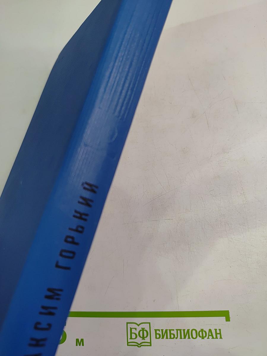 Мать. По Союзу Советов