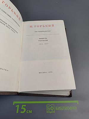 Собрание сочинений. Том четырнадцатый: Повесть. Рассказы 1912-1917