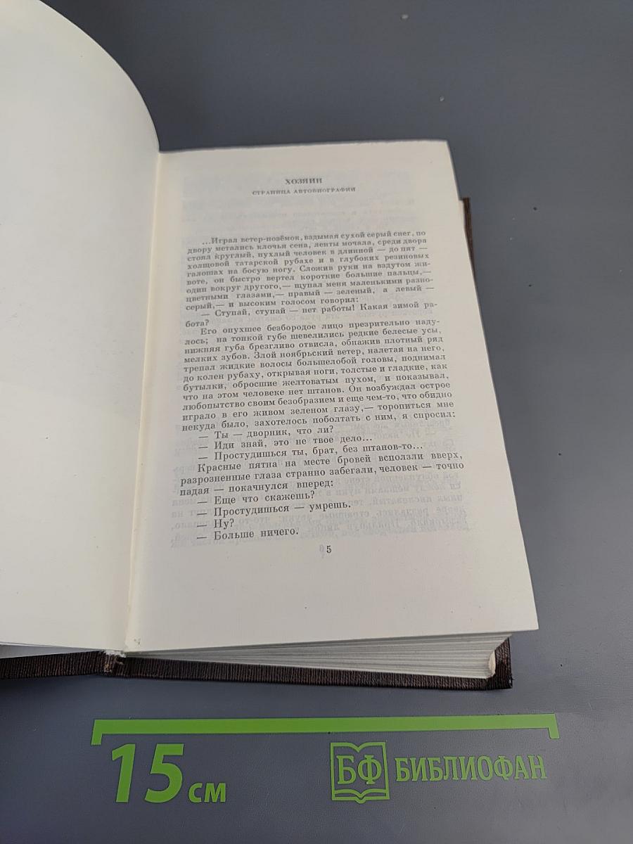 Собрание сочинений. Том четырнадцатый: Повесть. Рассказы 1912-1917