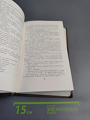 Собрание сочинений. Том четырнадцатый: Повесть. Рассказы 1912-1917