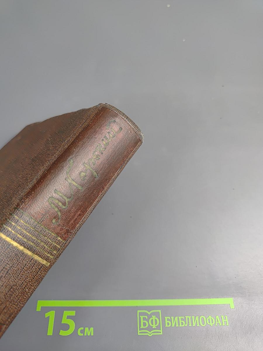 Собрание сочинений. Том четырнадцатый: Повесть. Рассказы 1912-1917