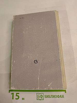 Игры в футбол