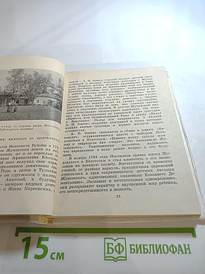 Жуковский в Петербурге