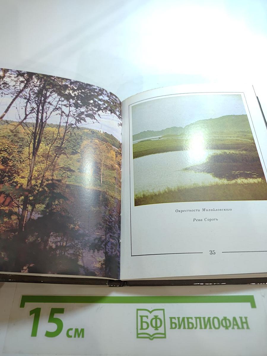 Пушкинские Горы