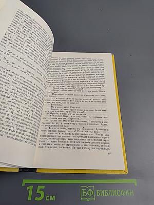 Пойдем танцевать, Виолина...