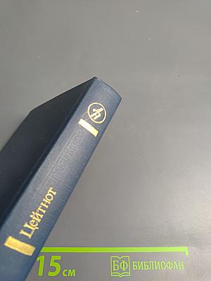 Цейтнот. Повесть, рассказы, эссе