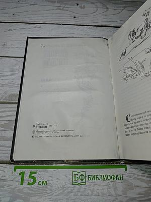 Первый горнист
