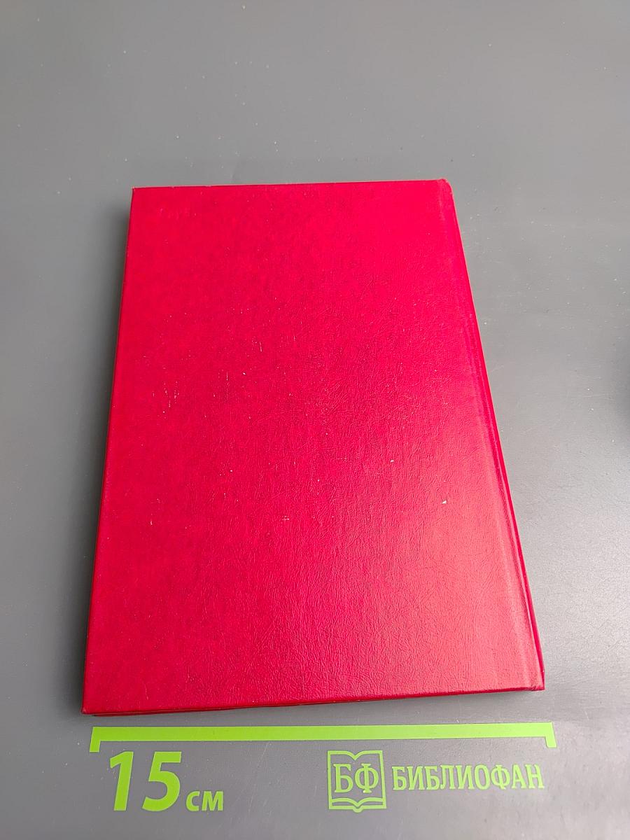 До свидания, друг вечный. Телохранитель