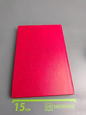 До свидания, друг вечный. Телохранитель