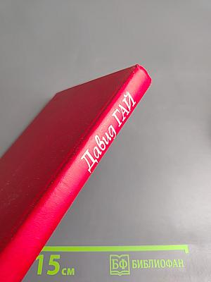 До свидания, друг вечный. Телохранитель