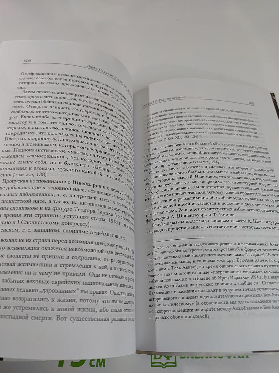 Глас из пустыни. Бен-Ами. История забытого писателя