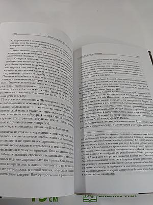 Глас из пустыни. Бен-Ами. История забытого писателя