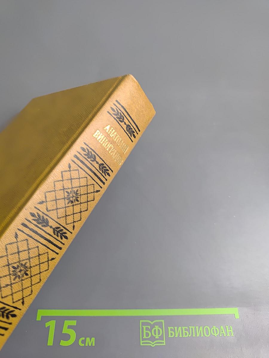 Повесть о братьях Тургеневых. Осуждение Паганини