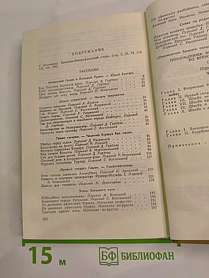 Марафонский бег