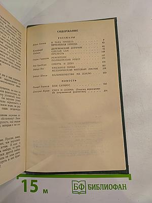 Паломничество на Землю