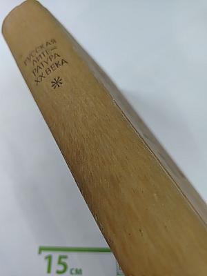 Русская литература XX века: Дооктябрьский период. Хрестоматия