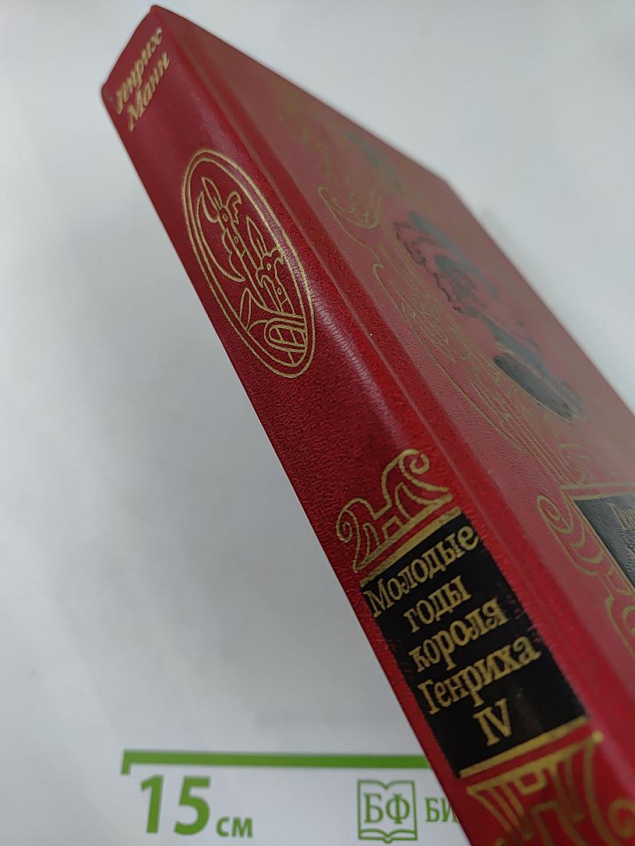 Молодые годы короля Генриха IV