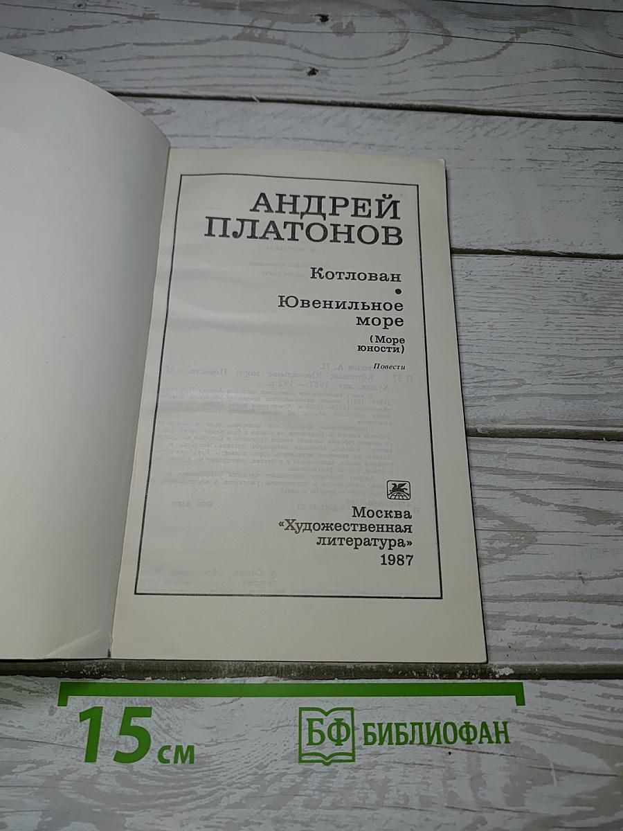 Котлован. Ювенильное море