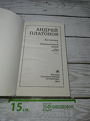 Котлован. Ювенильное море