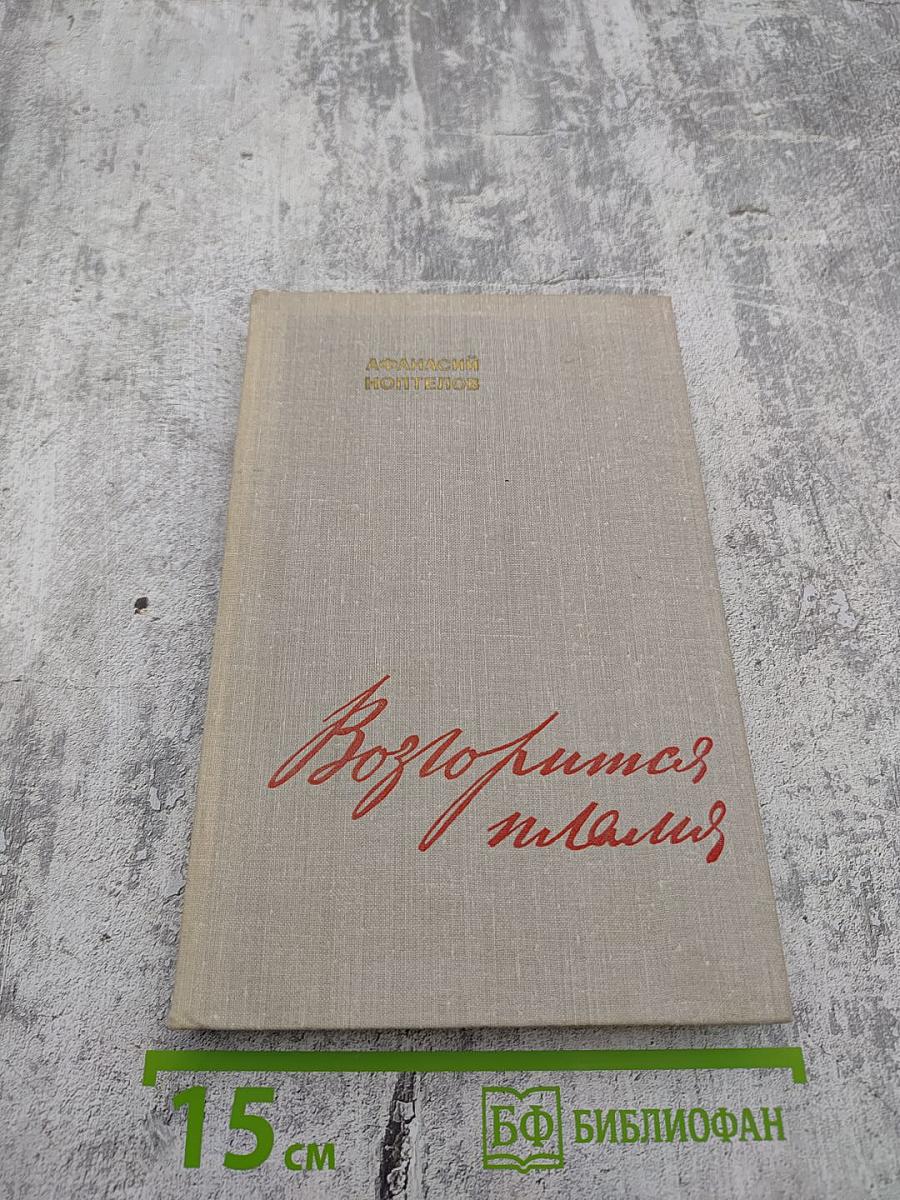 Возгорится пламя. Книга вторая