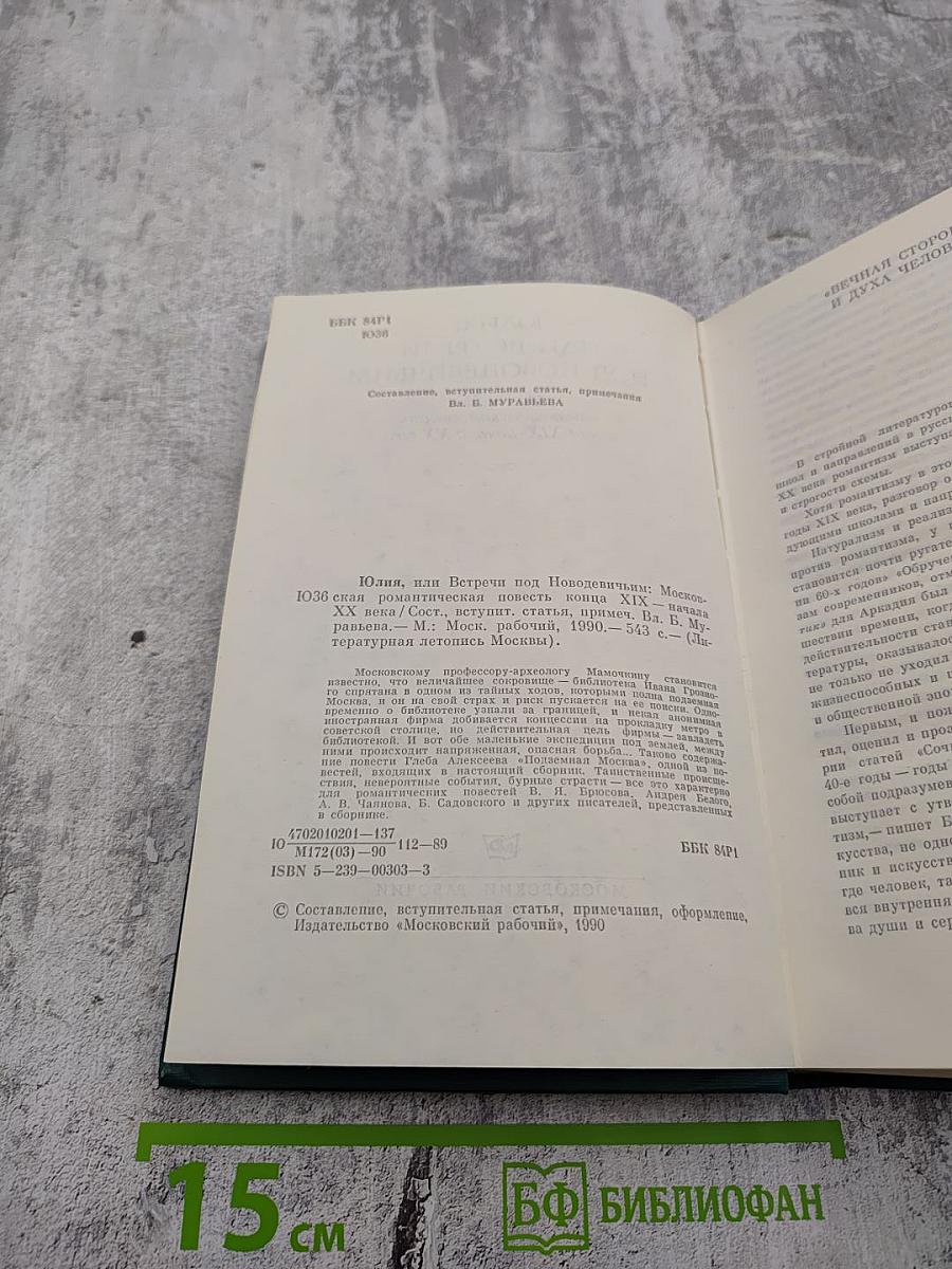 Юлия, или Встречи под Новодевичьим