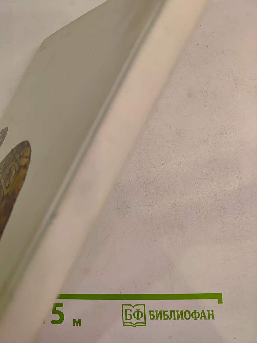 КОАПП (Выпуск 8)