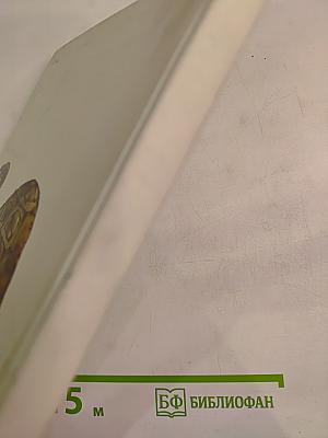 КОАПП (Выпуск 8)