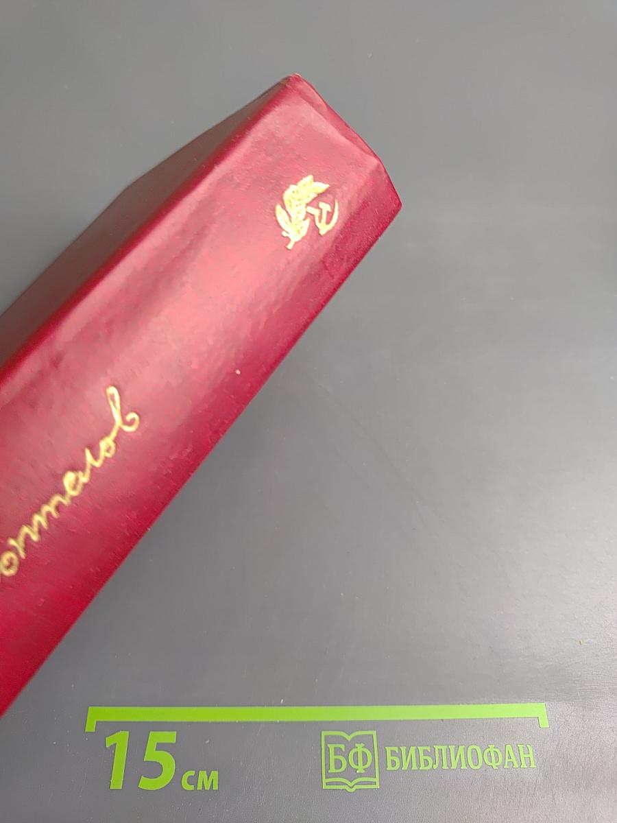 Точка опоры