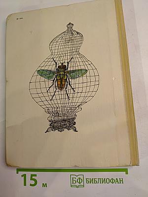 И коапп коапп коапп