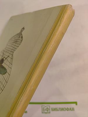 И коапп коапп коапп