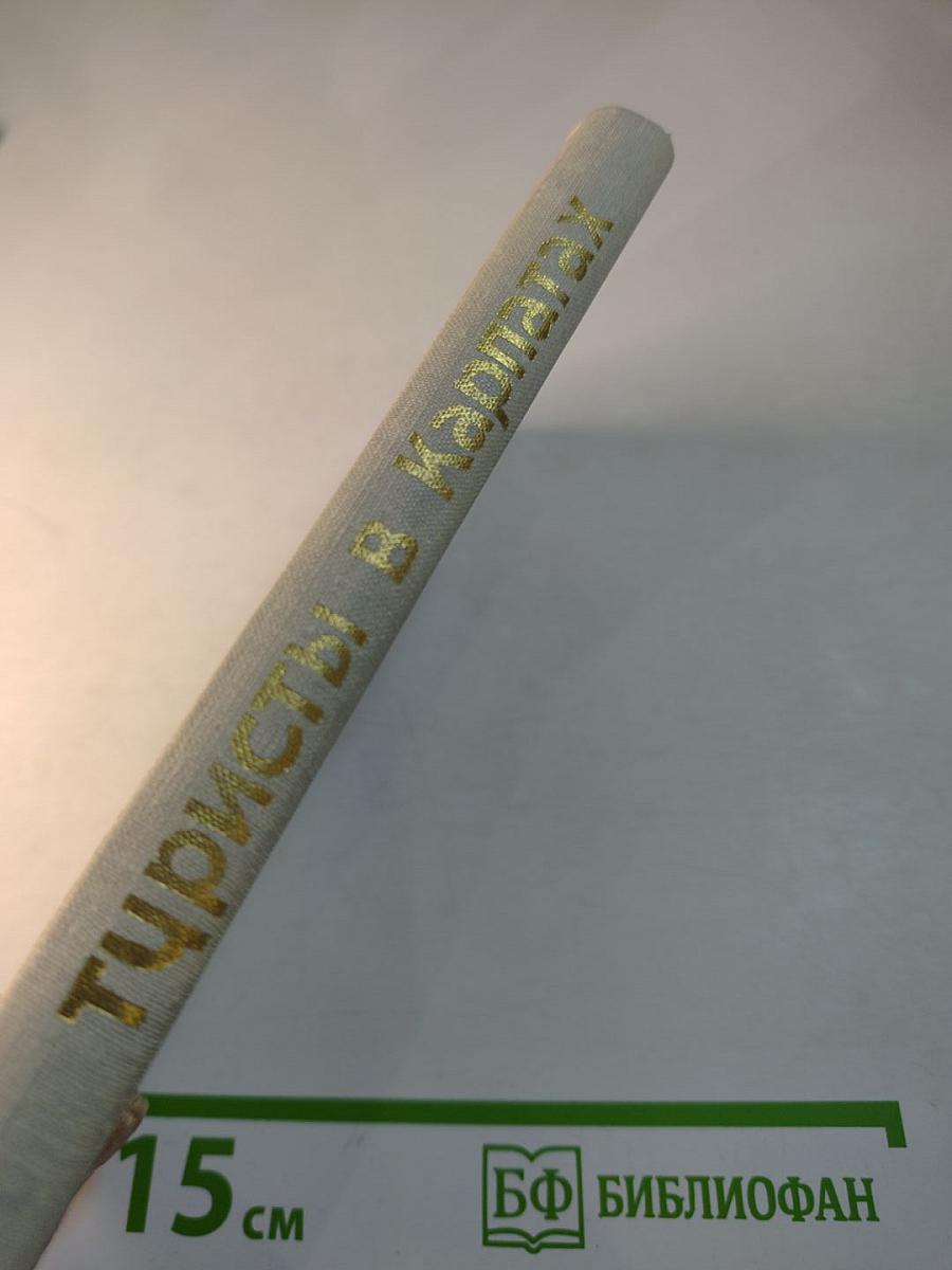 Туристы в Карпатах