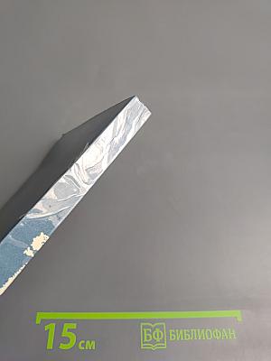 Фицрой - капитан "Бигля"