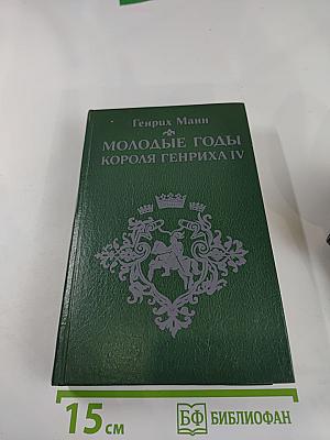 Молодые годы короля Генриха IV