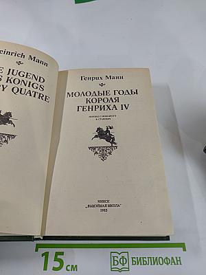 Молодые годы короля Генриха IV