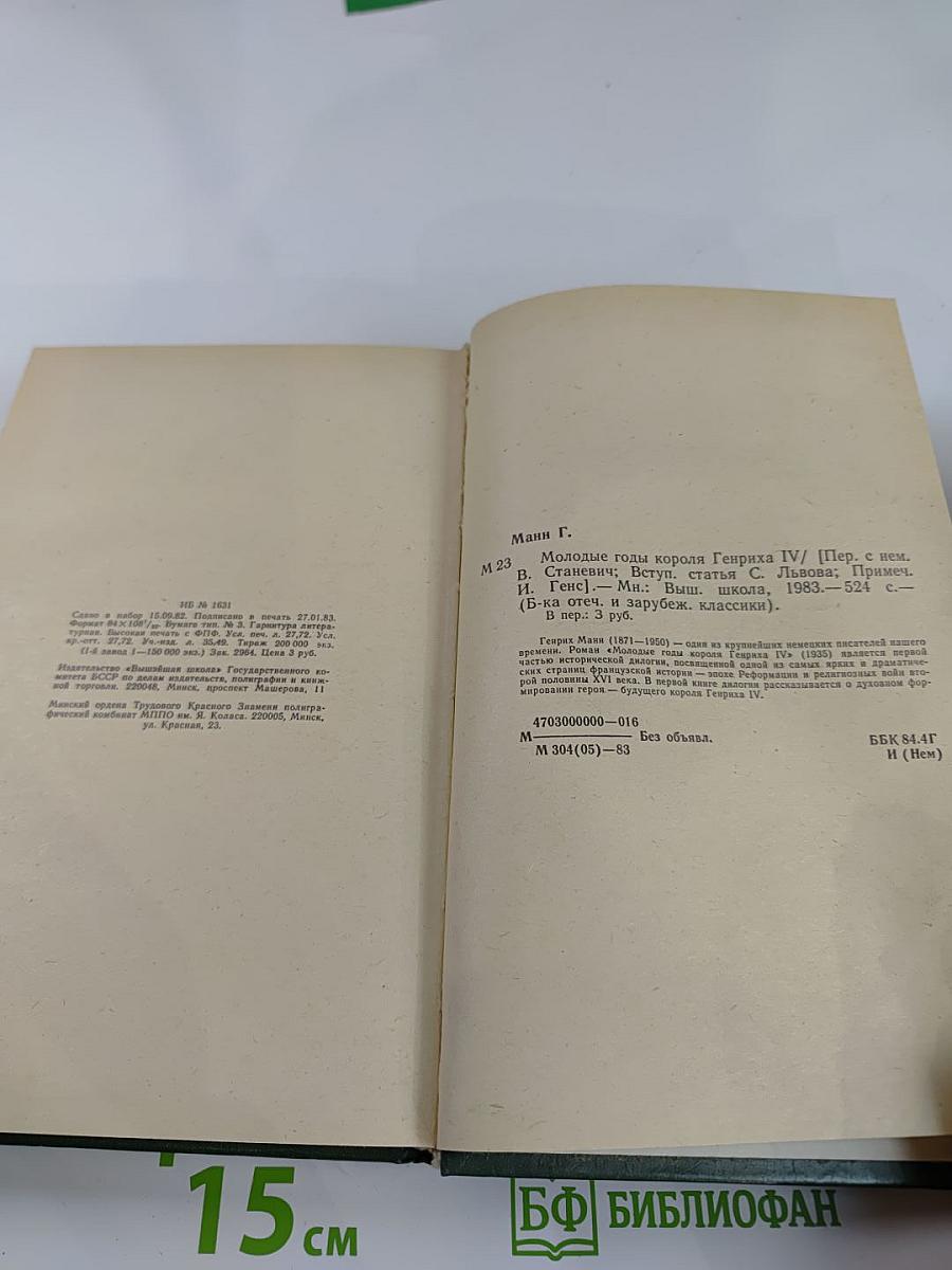 Молодые годы короля Генриха IV