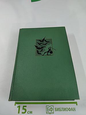 Хитроумный идальго Дон Кихот Ламанчский. Часть вторая