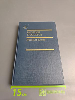 Жизнь и судьба, Том второй