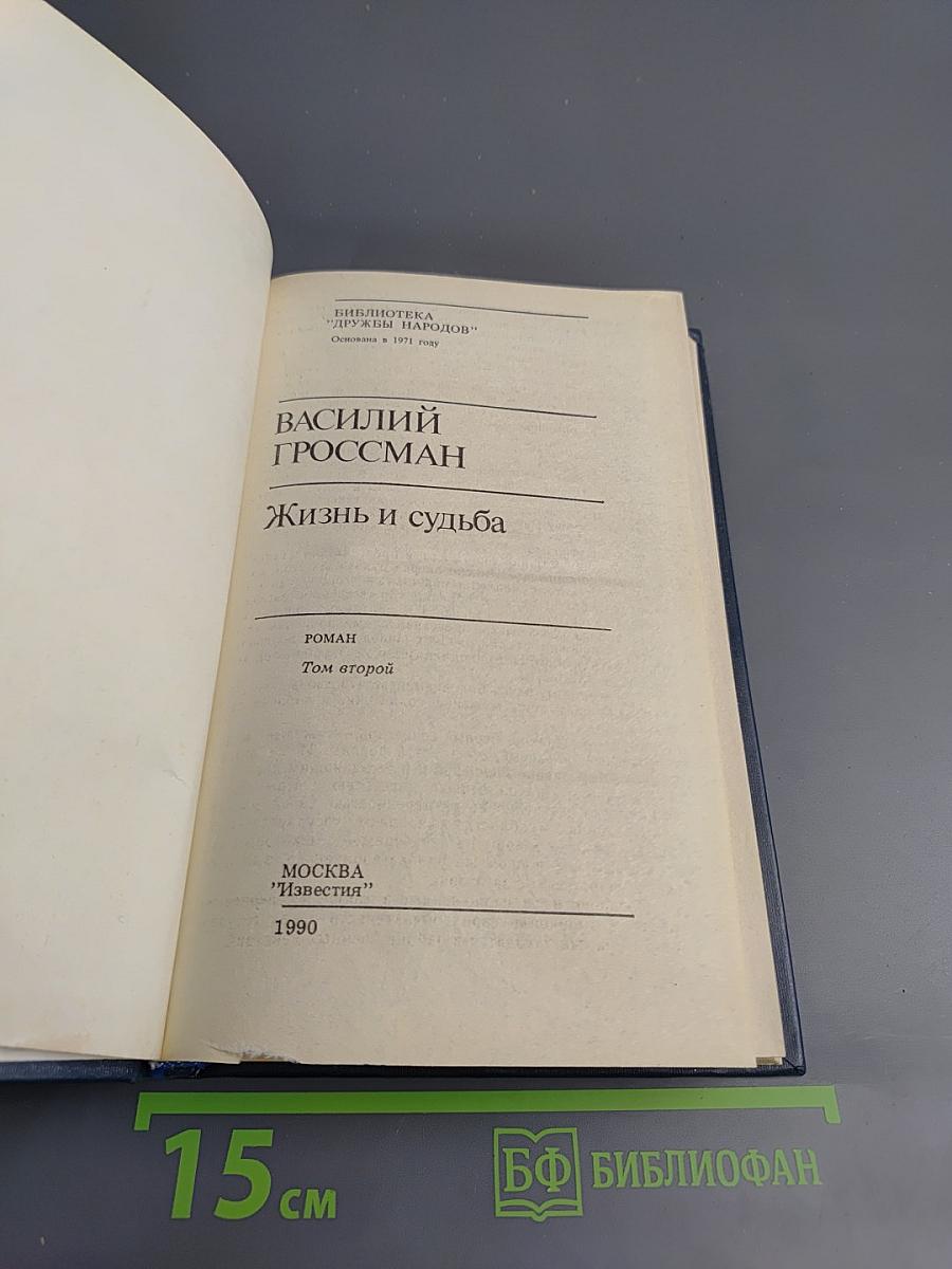 Жизнь и судьба, Том второй